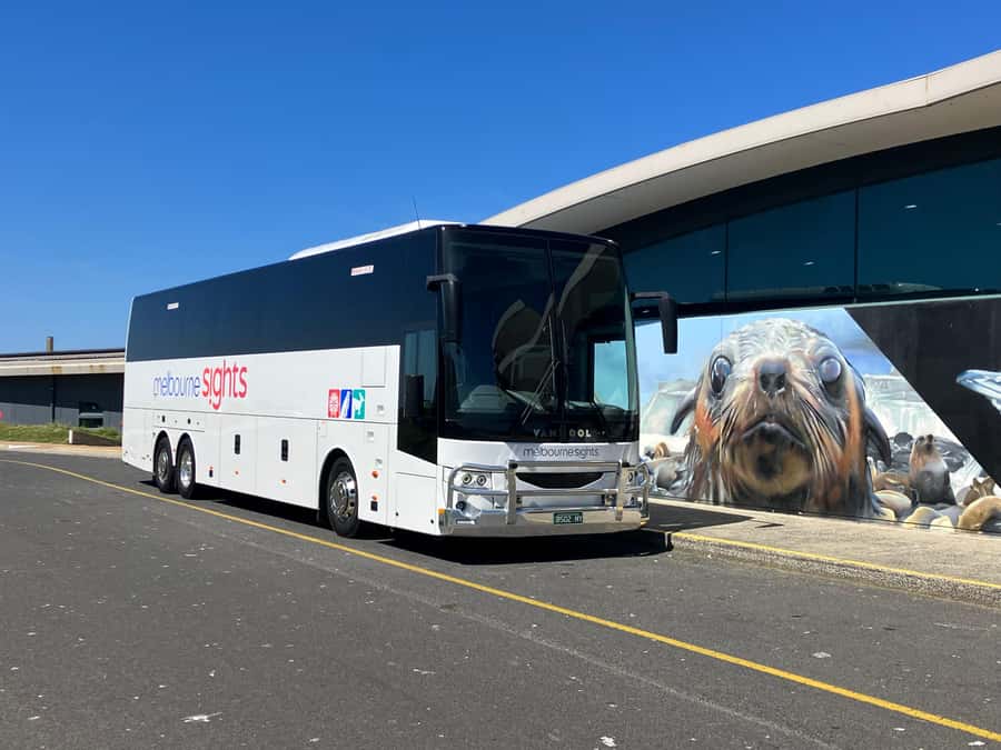 From Melbourne: Phillip Is Penguin Parade & Koala Reserve - Who will enjoy this tour most?