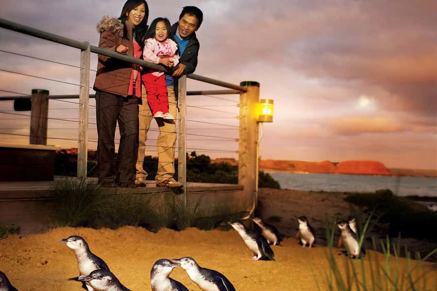 From Melbourne: Phillip Is Penguin Parade & Koala Reserve - Brighton Beach starts the day with a colourful photo stop
