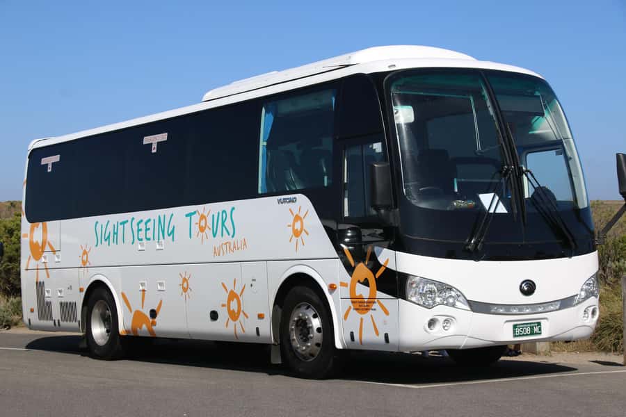 From Melbourne: Phillip Island and Penguin Parade Day Tour - Practical advice for a smoother day