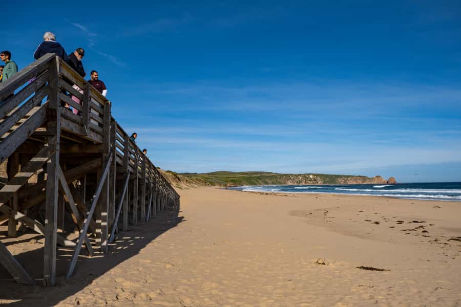 From Melbourne: Phillip Island and Penguin Parade Day Tour - Guides make a real difference