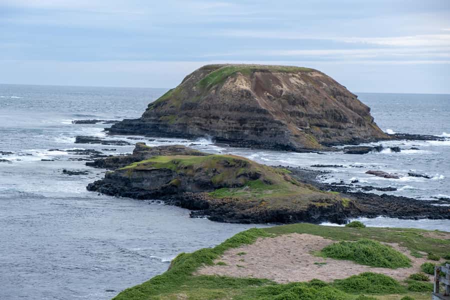 From Melbourne: Phillip Island and Penguin Parade Day Tour - Who will enjoy this Phillip Island tour most?