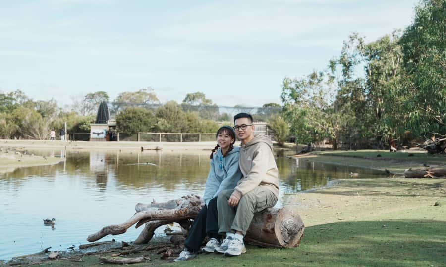 From Melbourne: Phillip Island Penguin Parade Eco Tour - Is $109 good value for a full day?