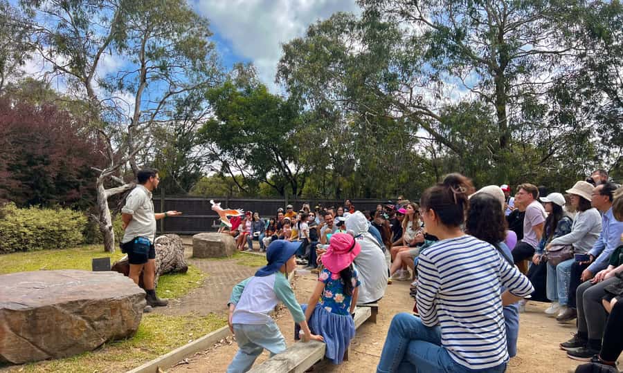From Melbourne: Phillip Island Penguin Parade Eco Tour - Practical ways to enjoy the day
