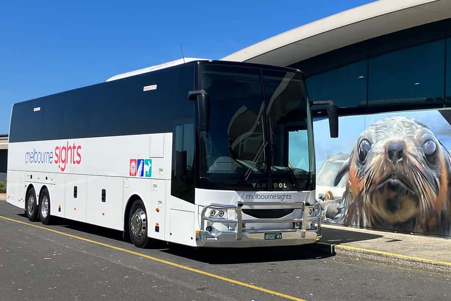 From Melbourne: Phillip Island Penguin Parade Express Tour - Weather, clothing, and the long ride home