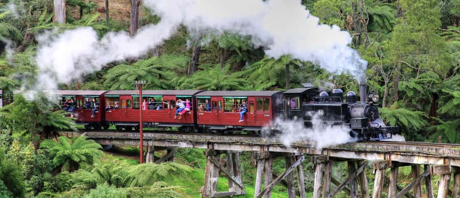 From Melbourne: Puffing Billy and Penguin Parade Combo Tour - Emerald Lake gives you a useful pause