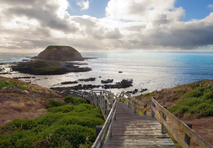 From Melbourne: Puffing Billy and Penguin Parade Combo Tour - The Nobbies offers the best daytime coastal views