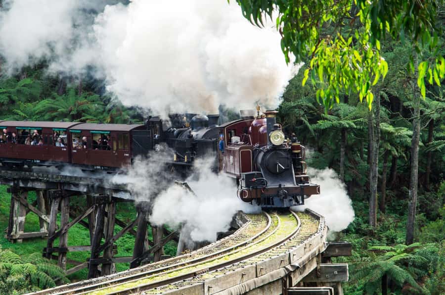 From Melbourne: Puffing Billy and Penguin Parade Combo Tour - The Puffing Billy ride through the Dandenong Ranges