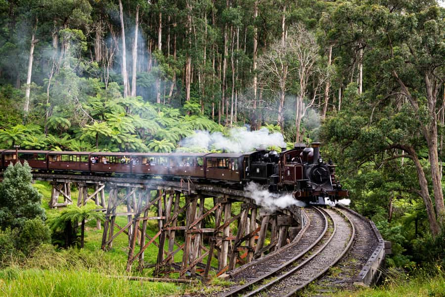 From Melbourne: Puffing Billy Steam Train & Wildlife Tour - Leaving Melbourne from three central pickup points