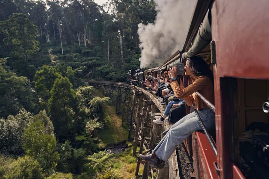 From Melbourne: Puffing Billy Steam Train & Wildlife Tour - Healesville Sanctuary and Australia’s favorite animals
