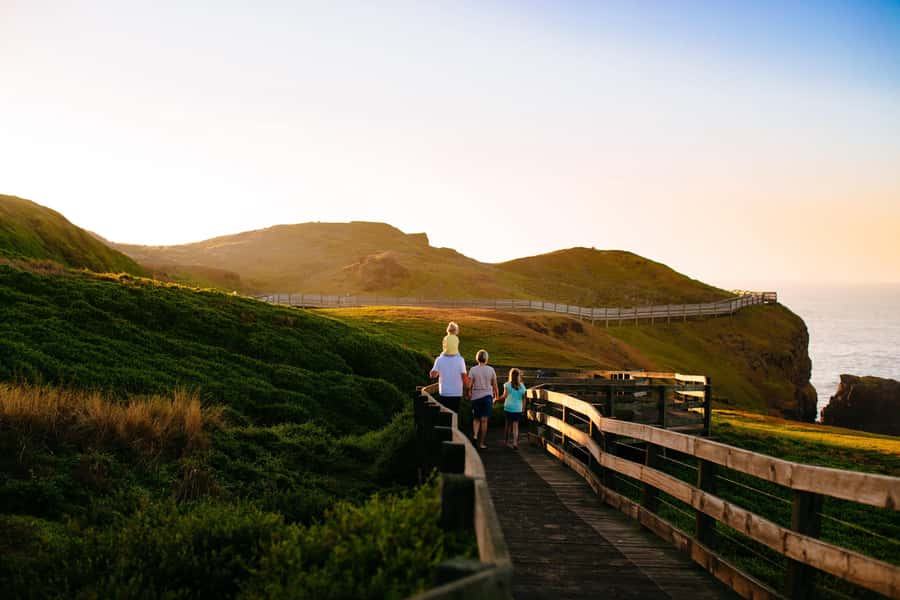 From Melbourne: Puffing Billy Train & Penguin Wildlife Tour - The long road to Phillip Island