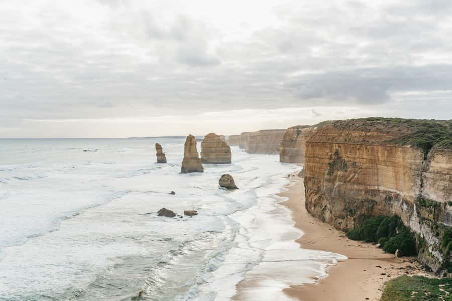 From Melbourne: Small-Group Great Ocean Road Day Trip - Kennett River and wildlife in the trees