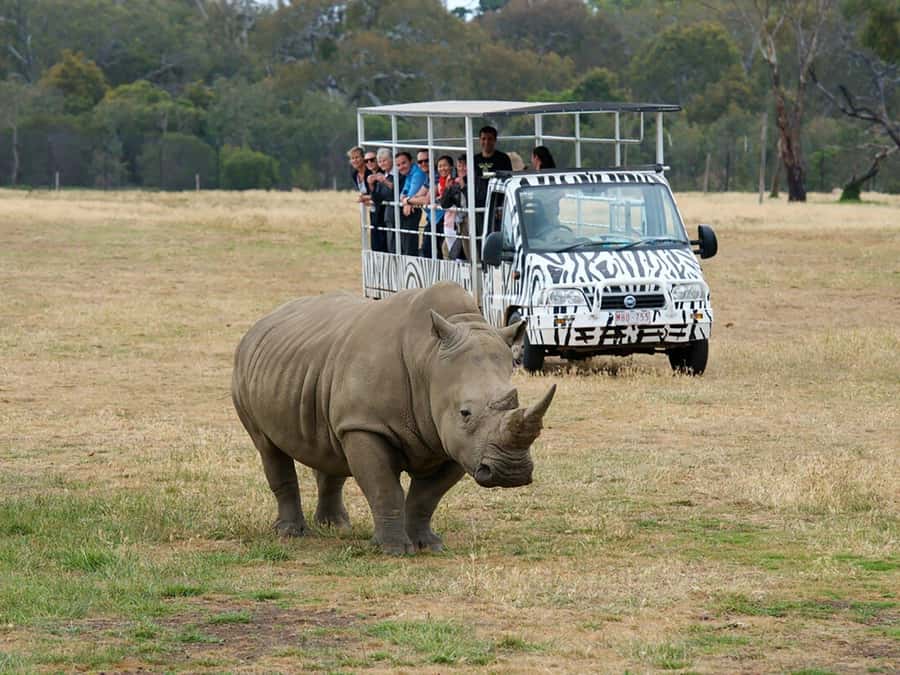 From Melbourne: Werribee Open Range Zoo & Werribee Mansion - Key points to know before you book