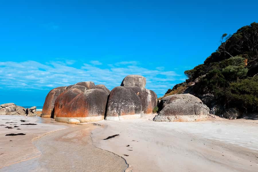 From Melbourne: Wilsons Promontory Small Group Day Tour - Final call: is the tour worth booking?