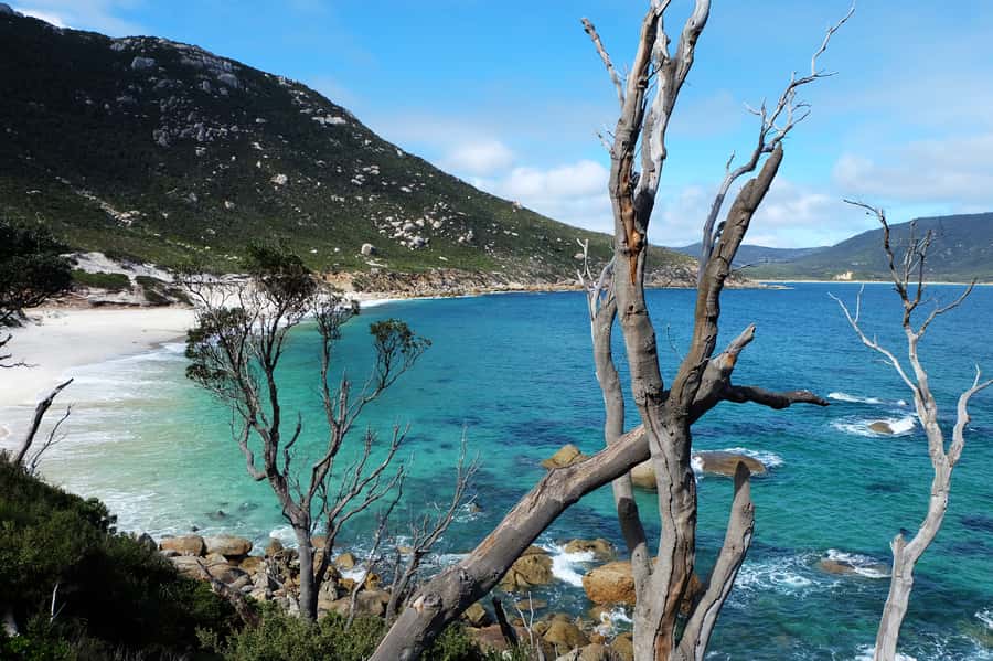 From Melbourne: Wilsons Promontory Small Group Day Tour - What the $155 price really buys