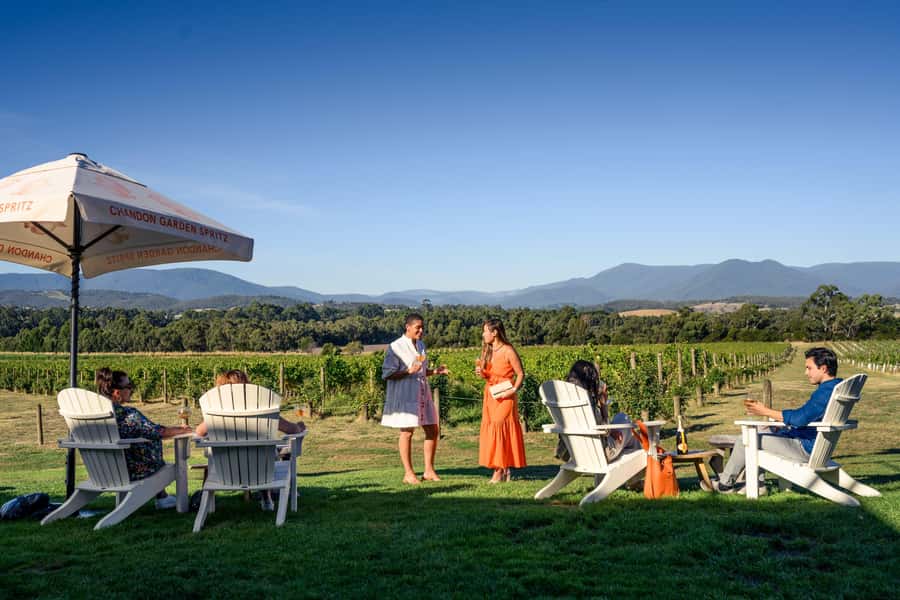 From Melbourne: Yarra Valley Hop-On-Hop-Off Bus Ticket - The guides and the ride between cellar doors