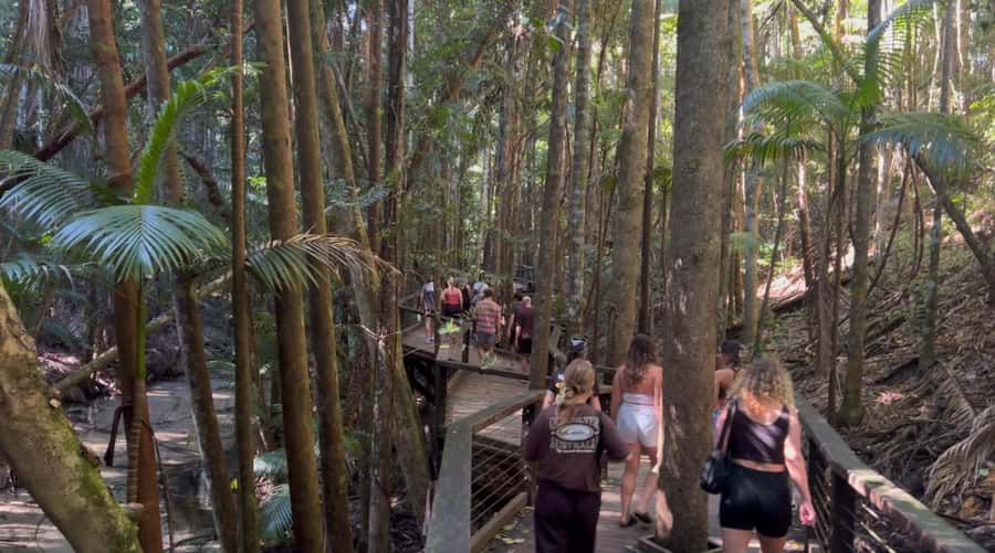 From Noosa: K'gari (Fraser Island) Small-Group Tour - Eli Creek, a refreshing first stop