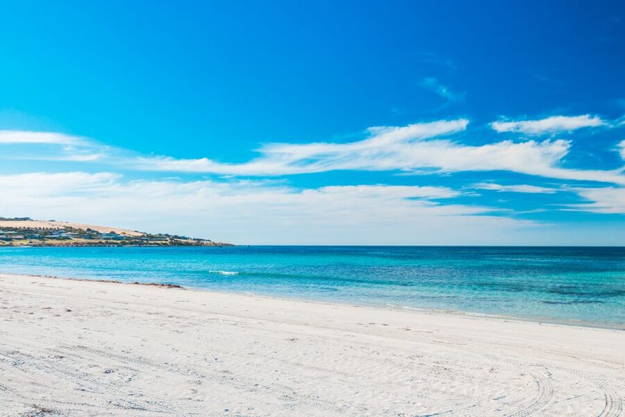 From Penneshaw: Kangaroo Island Shore Excursion Tasting Tour - Kingscote supplies a useful break in the day