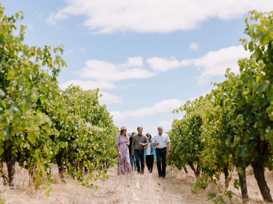 From Perth: 3-Day Margaret River Escape - Lunch by the Blackwood River, then wine and free time
