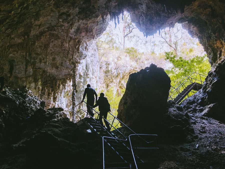 From Perth: 3-Day Margaret River Escape - What $937 includes, and where the value sits