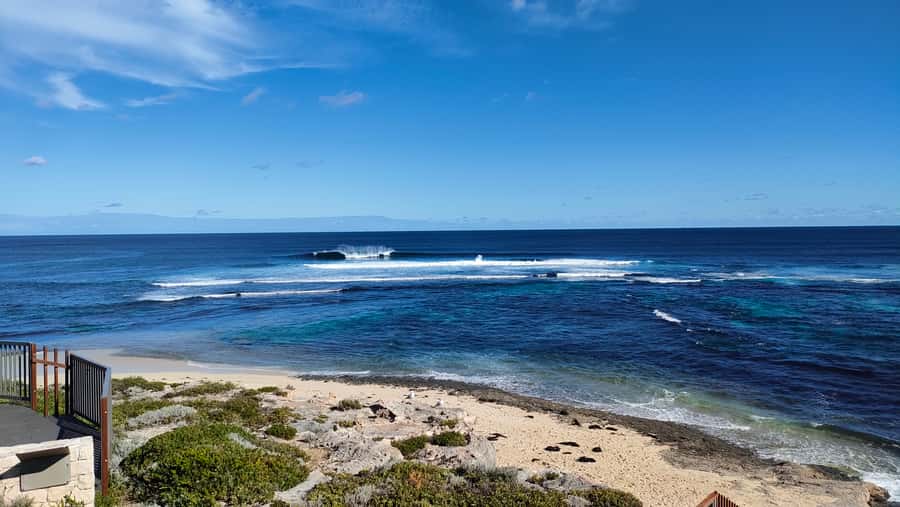 From Perth: Margaret River Region Impression Day Tour - A short wildlife or coastal pause