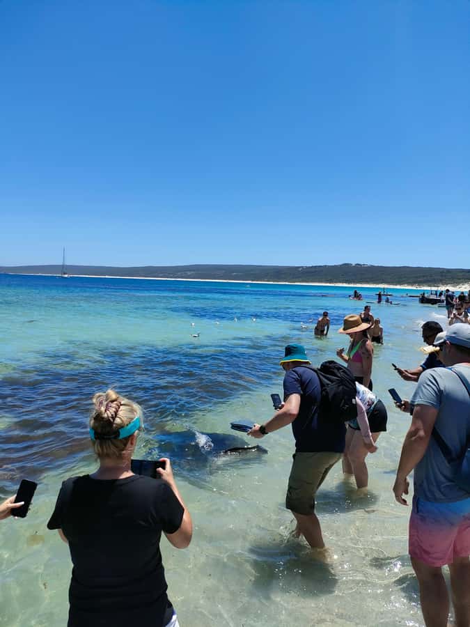 From Perth: Margaret River Region Impression Day Tour - Lunch near Prevelly