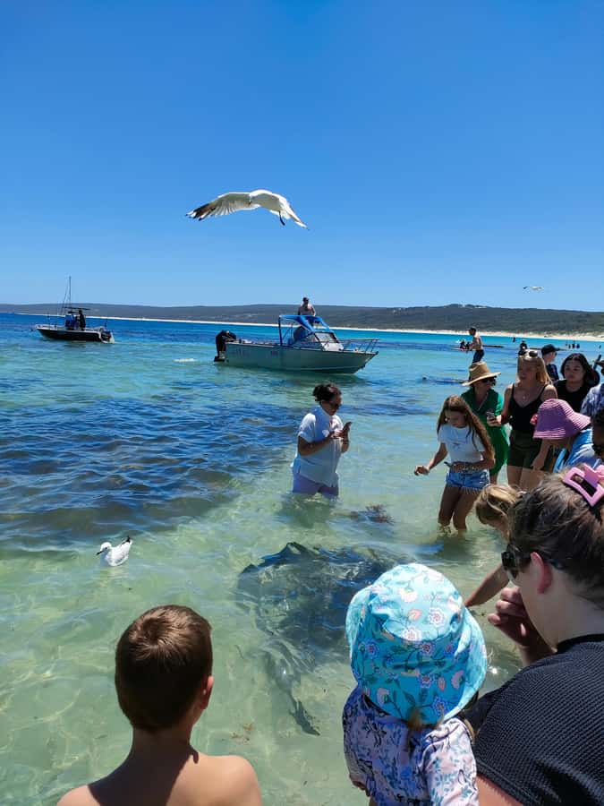 From Perth: Margaret River Region Impression Day Tour - Surfers Point and the big breaks