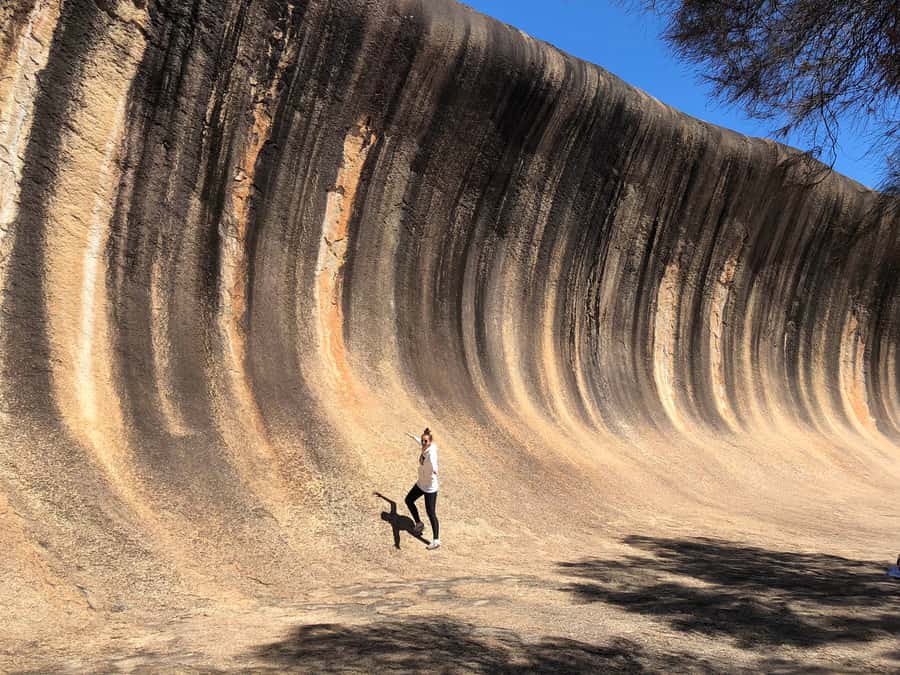 From Perth: Margaret River to Esperance 6-Day Tour - Two nights at Lucky Bay make the difference