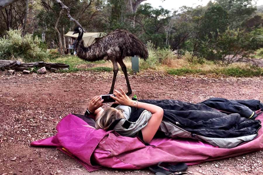 From Perth: Margaret River to Esperance 6-Day Tour - Albany’s granite coast and the karri forests