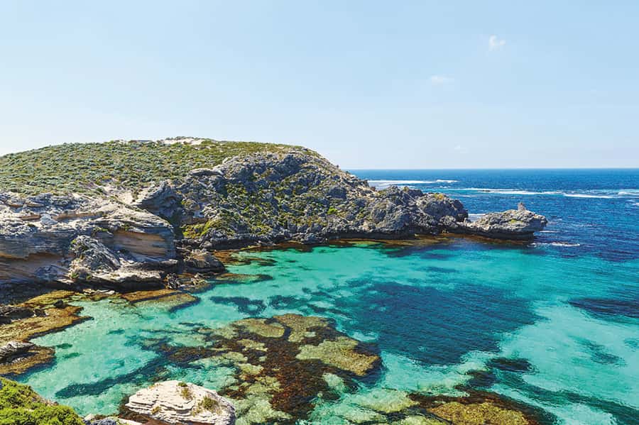 From Perth or Fremantle: Rottnest Explorer Segway Tour - What your free afternoon can look like