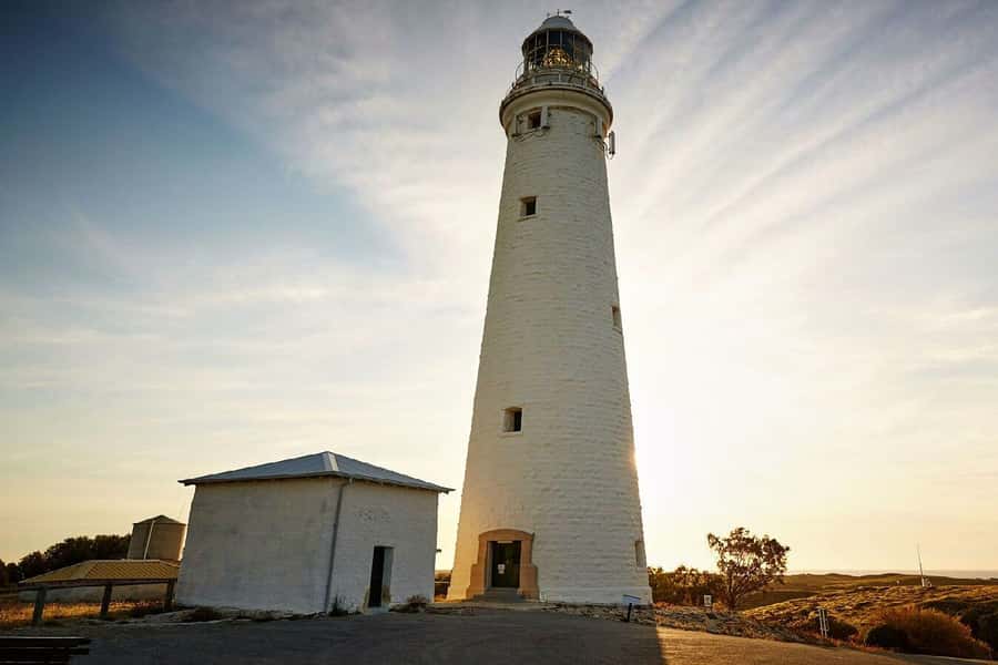 From Perth or Fremantle: Rottnest Island Ferry and Bus Tour - Henrietta Rocks, Cathedral Rocks, and Cape Vlamingh