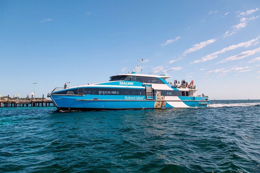 From Perth or Fremantle: Rottnest Island Ferry and Bus Tour - Finding quokkas without treating them like an attraction
