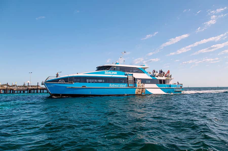 From Perth or Fremantle: Rottnest Island Ferry and Bus Tour - Free time for swimming, lunch, and your own plans