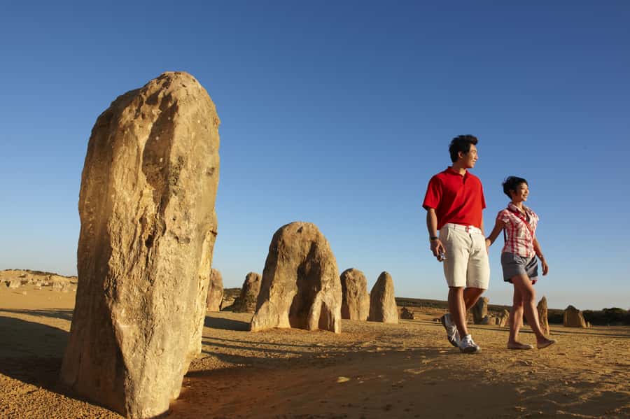 From Perth: Pinnacles Desert, Yanchep & Swan Valley Day Tour - The Pinnacles walk rewards patience