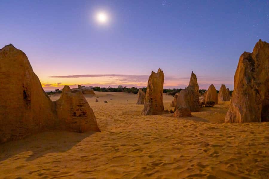 From Perth: Pinnacles Sunset and Stargazing Tour with Dinner - The mini-coach tradeoff