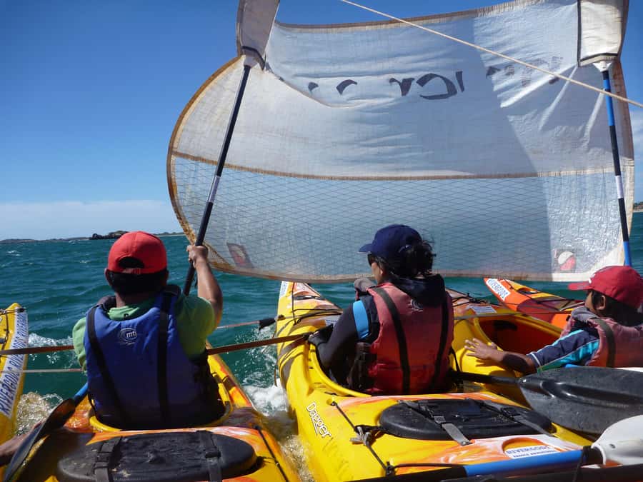 From Perth: Rockingham Seal & Penguin Islands Sea Kayak Tour - Who will enjoy this day most