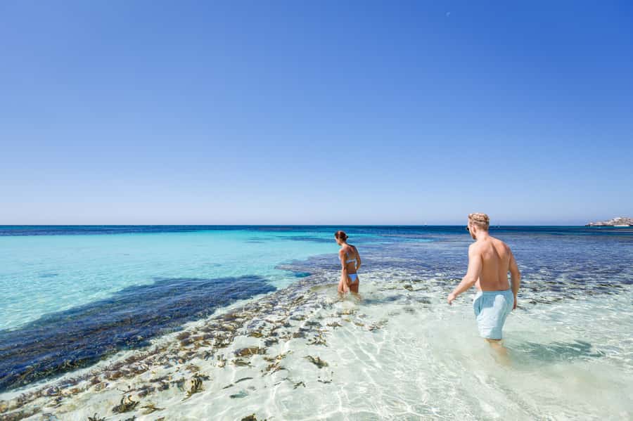 From Perth: Rottnest Island Ferry & Bus Day Tour - Key points to know before booking