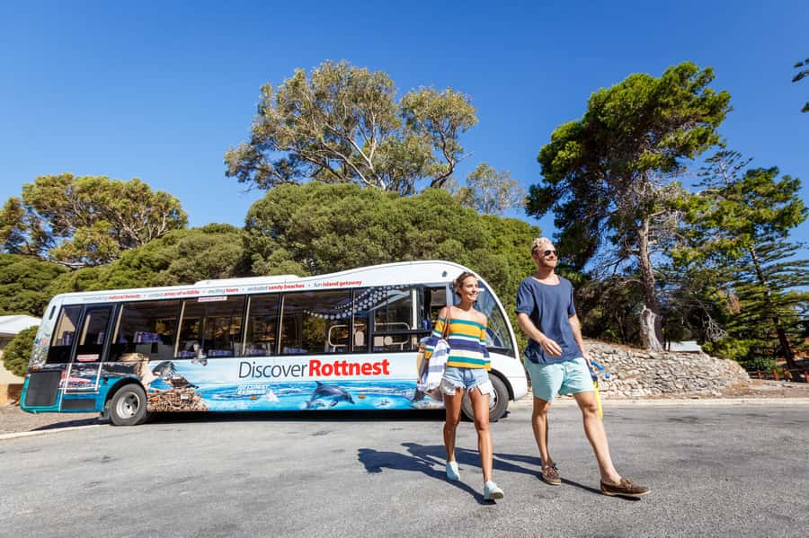 From Perth: Rottnest Island Ferry & Bus Day Tour - Why this Perth to Rottnest trip works