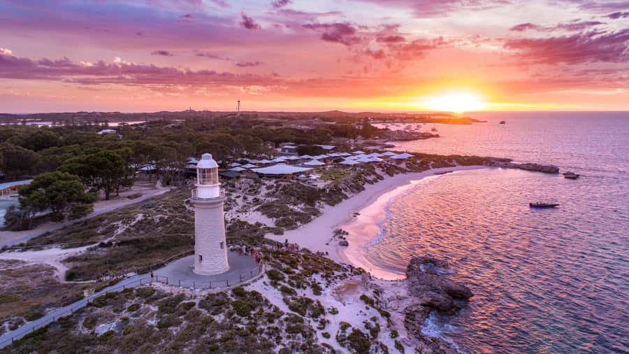 From Perth: Rottnest Island Ferry & Bus Day Tour - Finding the coach at Thomson Bay