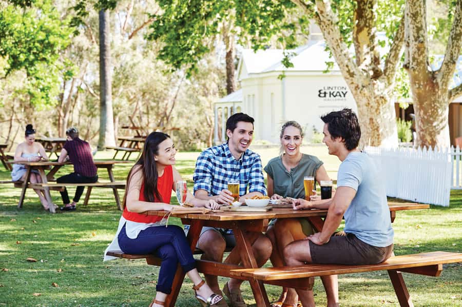 From Perth: Swan Valley Cruise, Winery, Cheese & Lunch - The return cruise becomes the main event