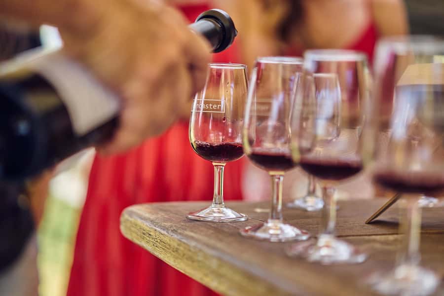 From Perth: Swan Valley Winery Tour - Lancaster Wines and the first cheese board