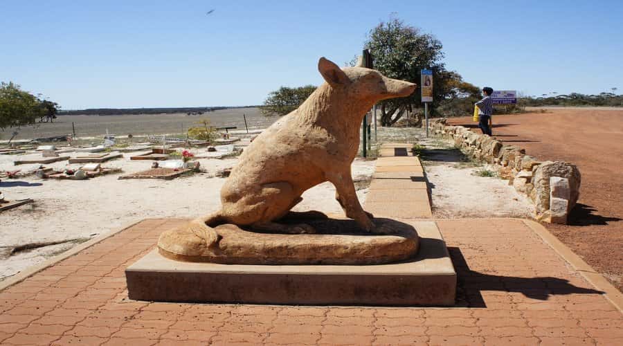From Perth: Wave Rock, York and Aboriginal Cultural Tour - York, Western Australia’s first Avon Valley township