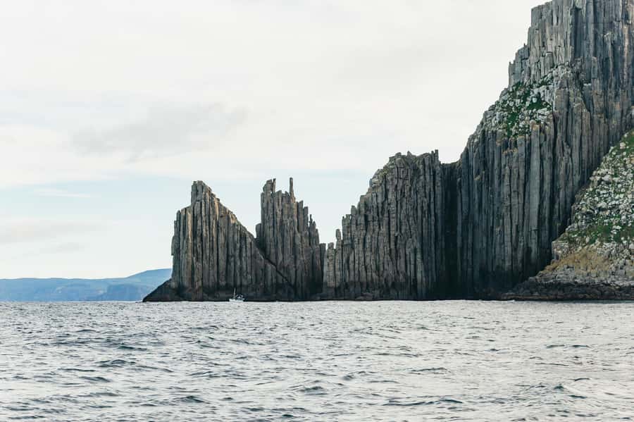 From Port Arthur: Tasman Island Wilderness Cruise - Who should book this cruise?