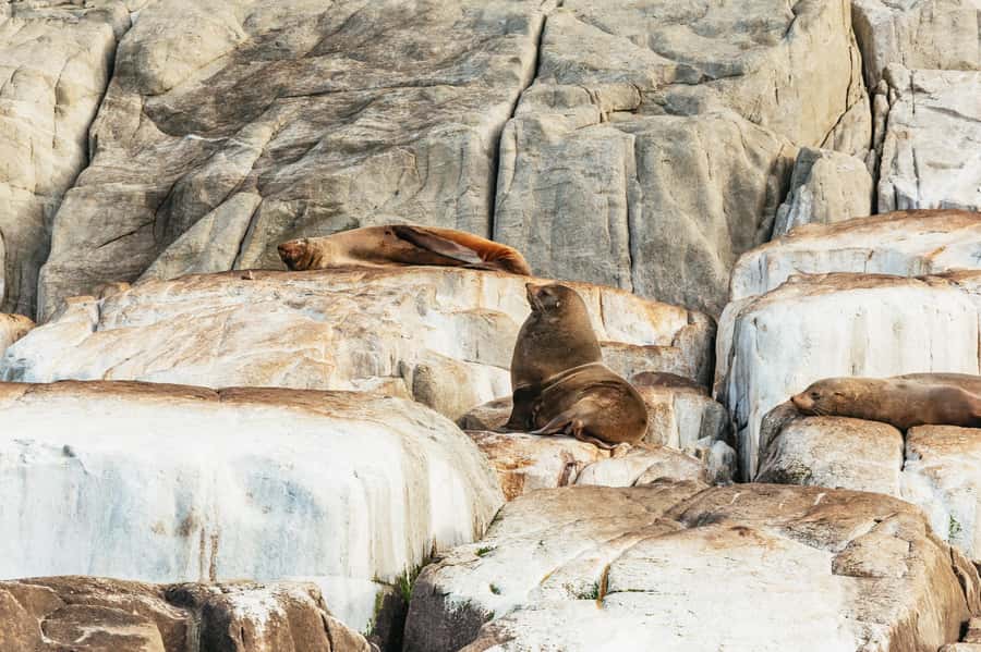 From Port Arthur: Tasman Island Wilderness Cruise - Why this coast is best seen from a boat