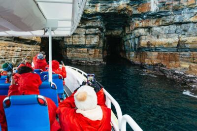 From Port Arthur: Tasman Island Wilderness Cruise