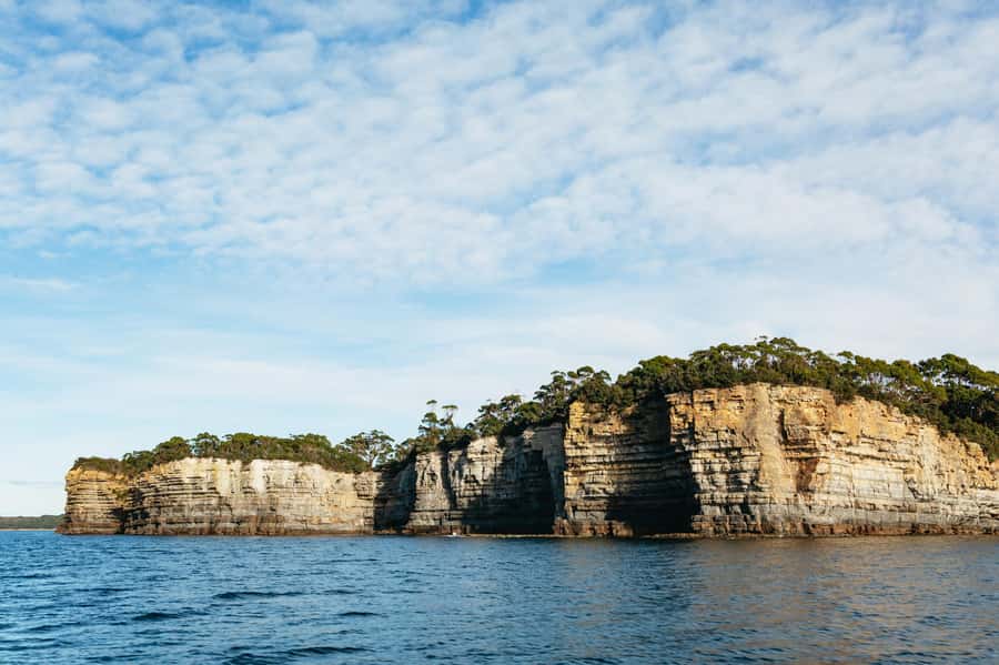 From Port Arthur: Tasman Island Wilderness Cruise - Guides who make the difference