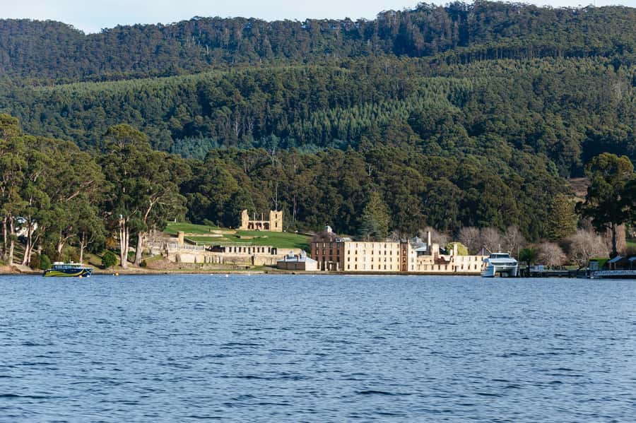 From Port Arthur: Tasman Island Wilderness Cruise - Is $127 good value?