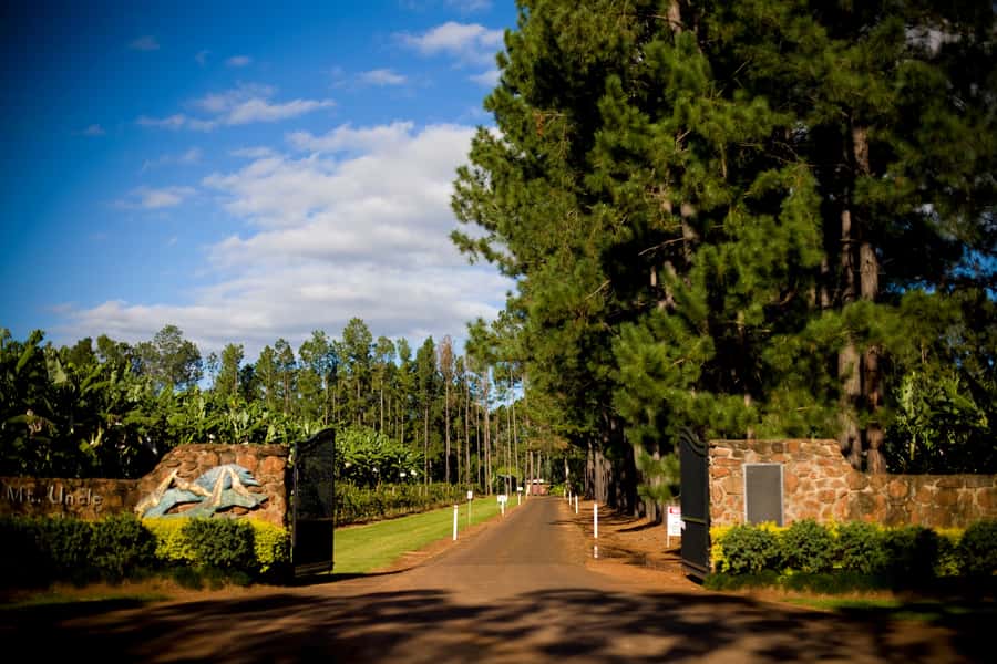 From Port Douglas: Atherton Tablelands Adventure - Platypus Park brings wildlife to the lunch stop