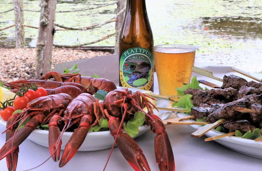 From Port Douglas: Atherton Tablelands Adventure - A quiet final toast at Sweetwater Lodge or The Platypus Hut