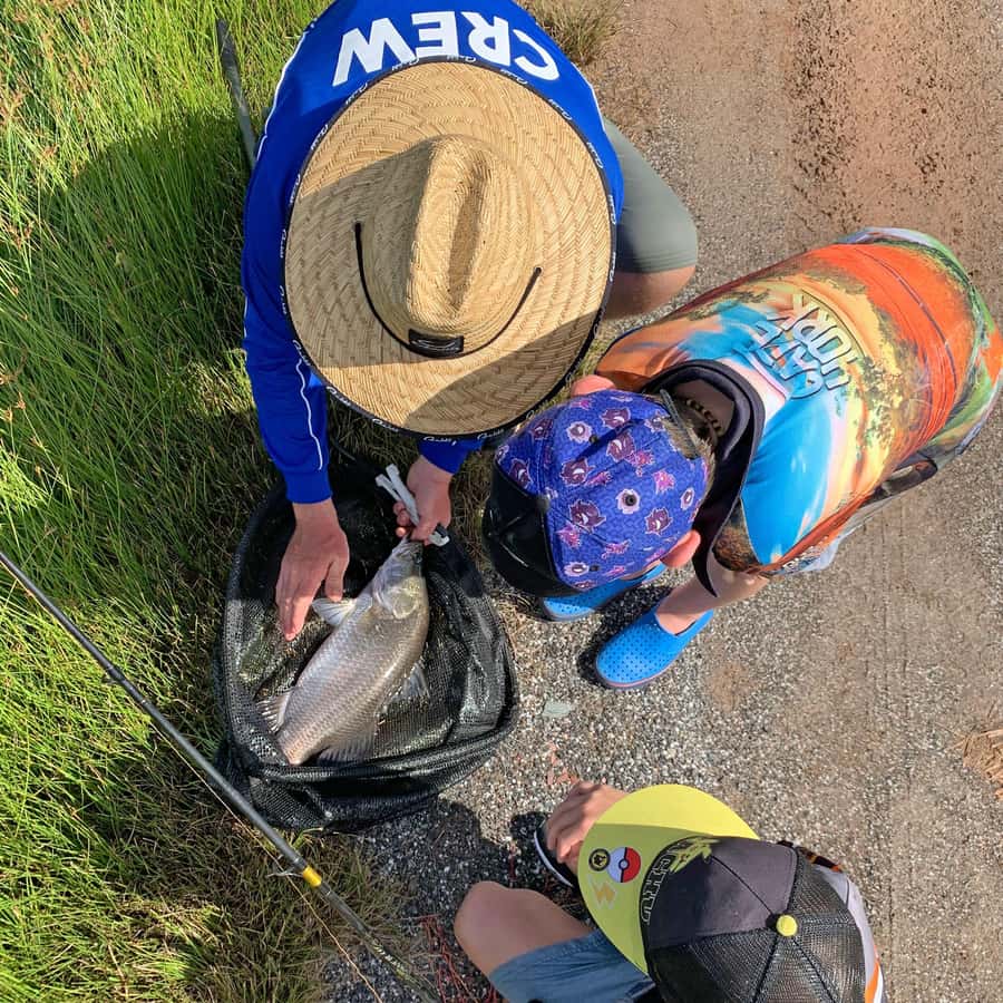 From Port Douglas: Barramundi Pond Fishing with Lunch - Why this Daintree fishing trip works so well