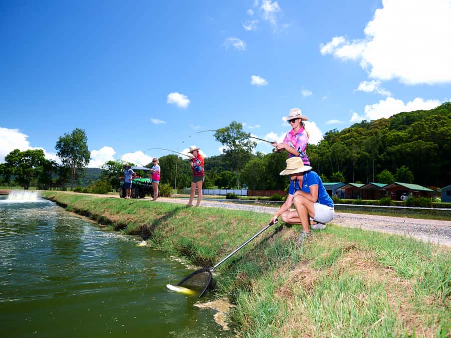 From Port Douglas: Barramundi Pond Fishing with Lunch - Price, timing, and practical value